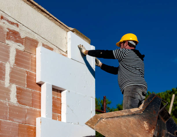 Best Insulation for Specific Applications in North Springfield, VA