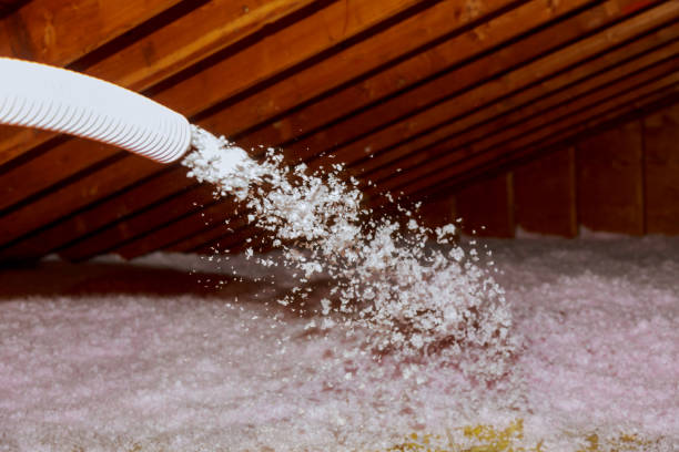 Best Energy Efficiency Solutions in North Springfield, VA