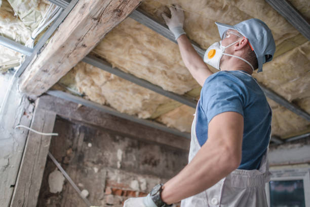 Best Insulation for Specific Applications in North Springfield, VA