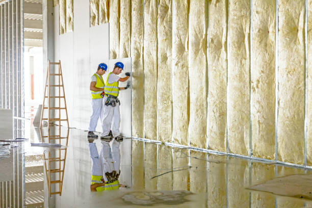Best Residential Insulation in North Springfield, VA